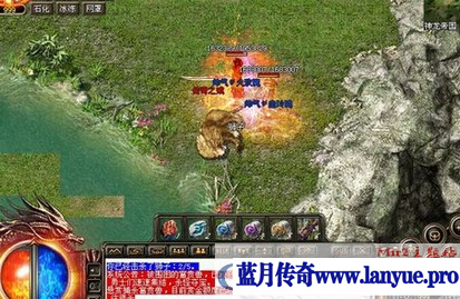 巴基斯坦单职业